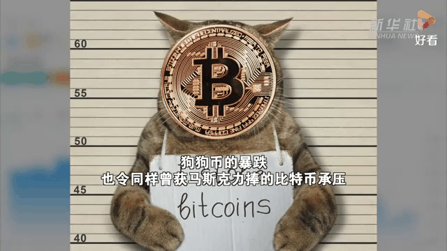 爱游戏注册-狗狗币突遭安全漏洞，流失高达340万美元的简单介绍